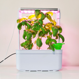 Plug & Grow - Smart Garden Medium 6 pots + Groeilicht - Hydroponic Systeem ACTIE!