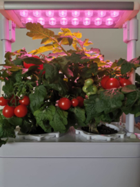 Plug & Grow - Smart Garden Medium 2 pots + Groeilicht - Hydroponic Systeem ACTIE!