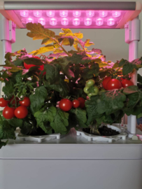 Verpakkingschade: Plug & Grow - Smart Garden Medium 6 pots + Groeilicht - Hydroponic Systeem ACTIE!