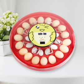 Broedmachine OUTLET Smart & Flexibel 30 eieren + gratis schouwlamp
