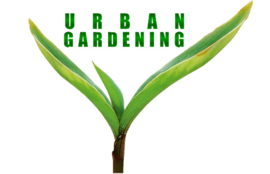 Urban Gardening het moderne tuinieren