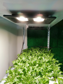 Groeilamp Zonlicht Wit - Growlight Sun Light LED 450 Watt