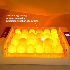Broedmachine Automaat Energiezuinig 24 eieren  LED schouwlampjes model 2024