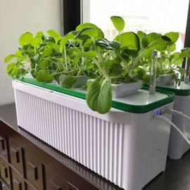 Smart Garden Large + Hydroponic Systeem + Tralley Scherm Click & Grow