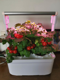 Plug & Grow - Smart Garden Medium 2 pots + Groeilicht - Hydroponic Systeem ACTIE!