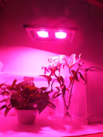 Groeilamp Zonlicht Wit - Growlight Sun Light LED 300 Watt