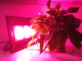 Groeilamp Zonlicht Wit - Growlight Sun Light LED 450 Watt