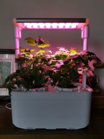 Plug & Grow - Smart Garden Medium 6 pots + Groeilicht - Hydroponic Systeem ACTIE!