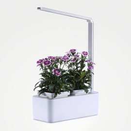 Plug & Grow - Smart Garden Medium + Groeilicht - Hydroponic Systeem ACTIE!