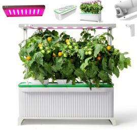 Smart Garden Large + Groeilicht en Hydroponic Systeem- Doosschade Model - Click & Grow