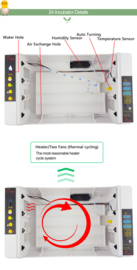 Incubateur Automatique Modèle 24 oeufs