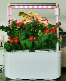 Plug & Grow - Smart Garden Medium 2 pots + Groeilicht - Hydroponic Systeem ACTIE!