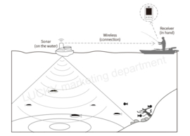 UITVERKOOP: Visvinder Lucky Starter Fish Finder, Vis Sonar