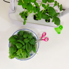 Verpakkingschade: Plug & Grow - Smart Garden Medium 6 pots + Groeilicht - Hydroponic Systeem ACTIE!