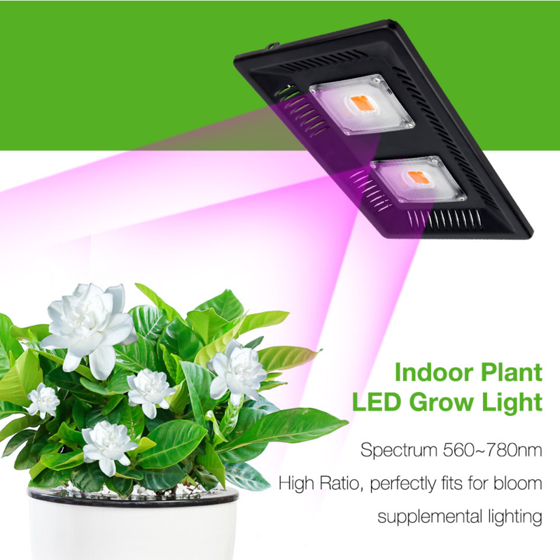 Groeilamp - Growlight LED 300 Watt