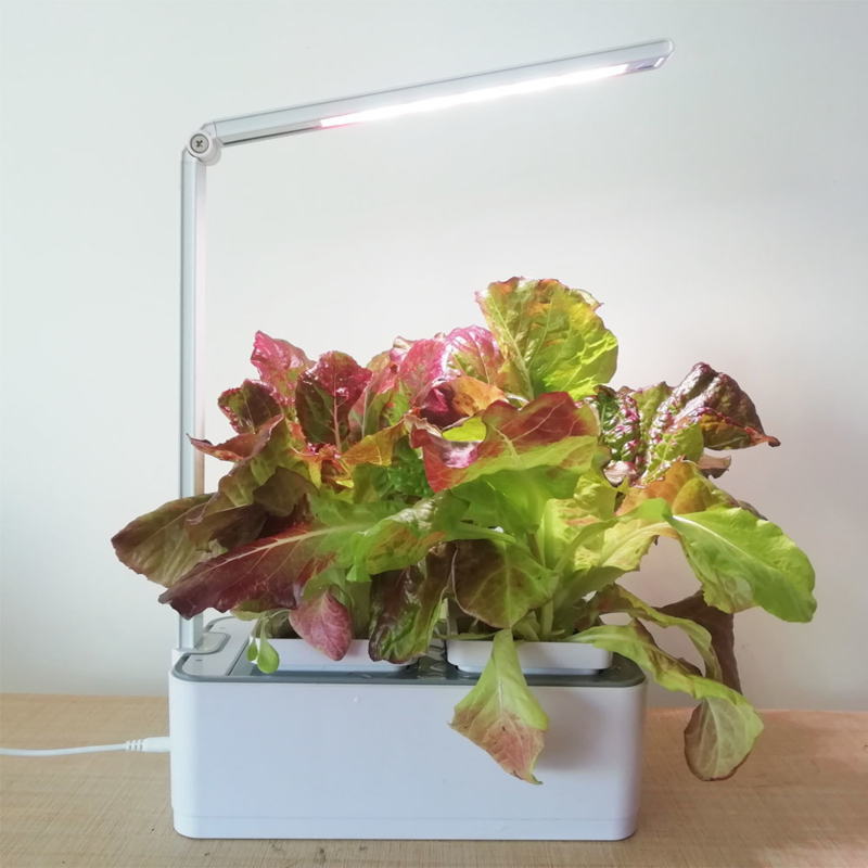 Plug & Grow - Smart Garden Medium + Groeilicht - Hydroponic Systeem