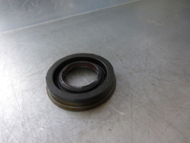 Seal ring 46002006