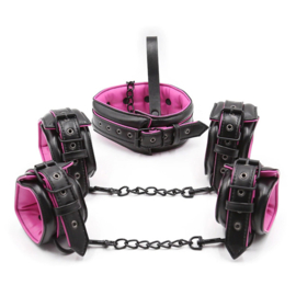 BDSM set