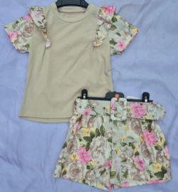 003- 6X BEIGE