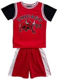 AB221 -6X ROOD