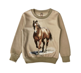PAARDEN LANG