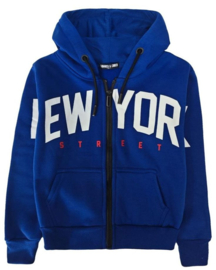 P135 -6X BLAUW