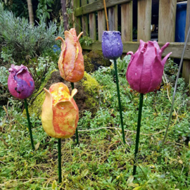 Paverpol Tulips