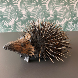 Hedgehog