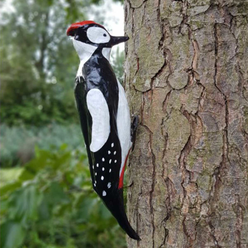 Woodpecker Kit