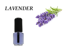 Nagelriemolie Lavender - 5ml - 10 stuks