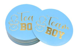Stickers Team Boy/Team Girl Gender Reveal