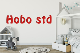 Hobo STD