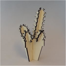 Houten cactus: Mannia