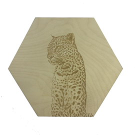 Hexagon luipaard