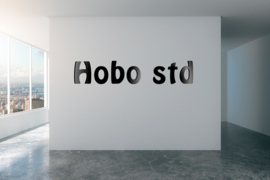 Hobo std