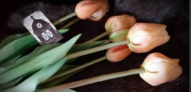 Real Touch tulp peach  44 cm