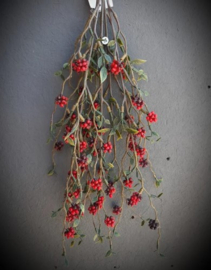 Berrie bush
