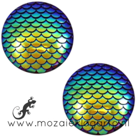 Decoratiesteen kunststof Holografisch 12 mm per 5 Blauw/Groen 58605