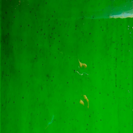 Glasplaat 19 x 20 cm Kiwi Transparant 33-6