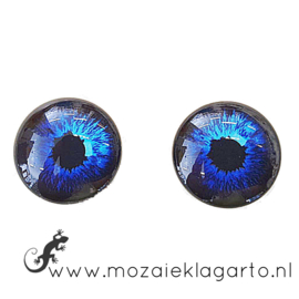 Cabochon/Plaksteen Oogjes per 2 Donkerblauw 309-15