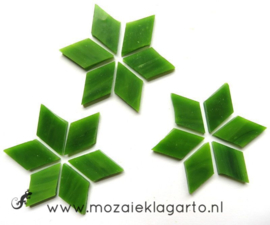 Wybertjes/Ruitjes 15x25 mm per 20 Mosgroen 023-2