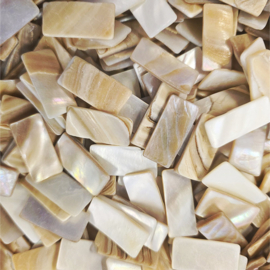 Parelmoer Mozaïektegeltjes Rechthoek  12x25 mm 50 gram 1-12