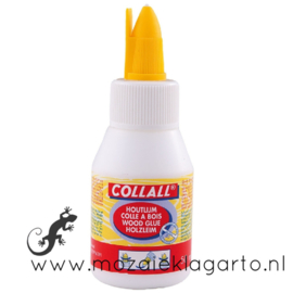 Collall Houtlijm (PVA) voor mozaiek 50 ml