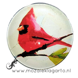 Cabochon/Plaksteen Glas 30 mm Rode vogel op tak 25270