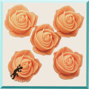 Bloemetjes
