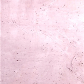 Glasplaat 19x20 cm Bleek Roze Transparant CAG140t