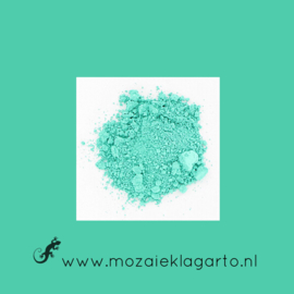 Pigment kleurstof Zeegroen 25 gram 146