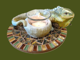 DIY Mozaïekpakket Lagarto (Hagedis met Waxinelichtje & Onderzetter) 80