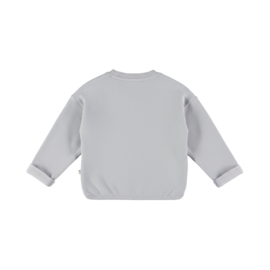 SWEATER GRIJSBLAUW