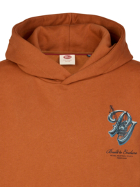 HOODIE MET BACKPRINT, TERRA